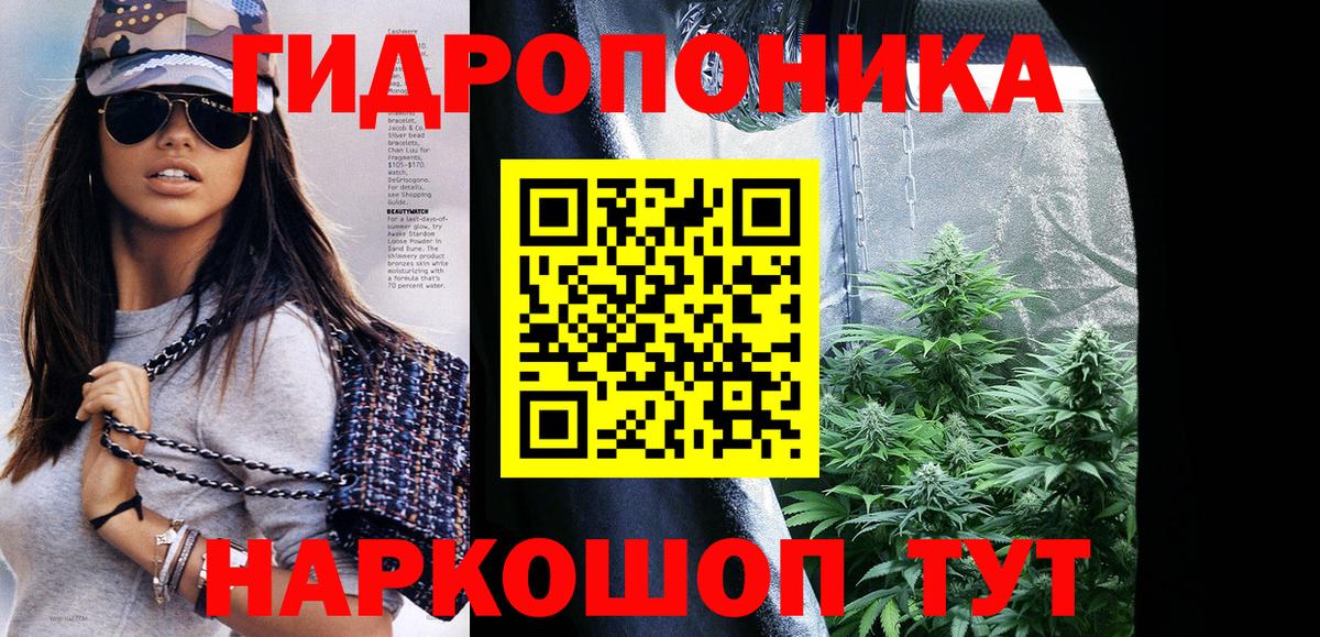 Канабис планчик  Канабис Ganja  Канабис сатива  Вход с VPN  Архангельск  Шишки марихуана Bruce Banner 